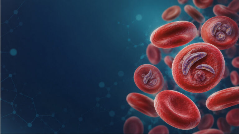 Red blood cells with malaria parasites representing antimalarial medicines