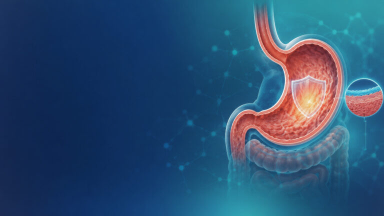 Human stomach and gastric lining protection representing antiulcerant medicines