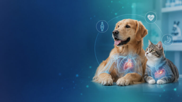 Dog and cat healthcare illustration representing veterinary medicines